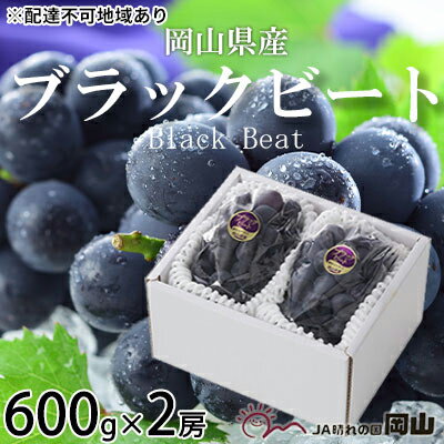 ぶどう 2024年 先行予約 ブラックビート 約600g×2房 ブドウ 葡萄 岡山県産 国産 フルーツ 果物 ギフト　【 果物 フルーツ 岡山のブドウ デザート 食べ物 国産 日本産 】　お届け：2024年8月中旬～2024年9月上旬