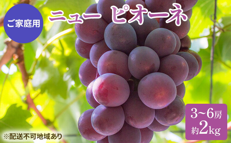 【ふるさと納税】ぶどう 2024年 先行予約 ご家庭用 ニュー ピオーネ 3～6房 約2kg ブドウ 葡萄 岡山県産 国産 フルーツ 果物　【 巨峰 美しい 外観 大粒 高糖度 種なし 皮ごと 芳醇 酸味 美味しい 絶妙 バランス 大人気 】　お届け：2024年8月下旬～2024年9月下旬