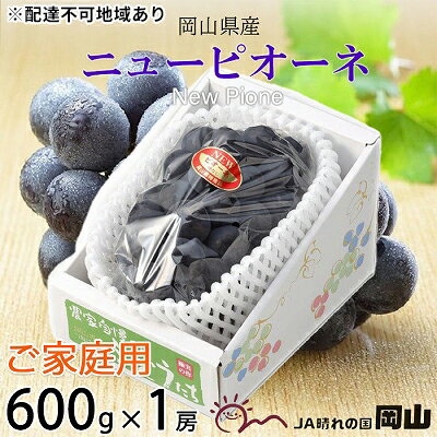 【ふるさと納税】ぶどう 2025年 先行予約 ご家庭用 ニューピオーネ 約600g×1房 ブドウ 葡萄 岡山県産 国産 フルーツ 果物 巨峰 美しい 外観 大粒 高糖度 種なし 皮ごと 芳醇 酸味 美味しい 絶妙 バランス 大人気 お届け:2025年8月下旬~2025年10月上旬