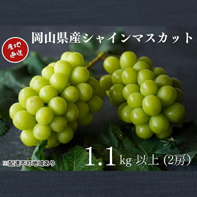 【ふるさと納税】厳選 シャインマスカット 2房 合計1.1kg以上 産地直送 朝採れ ぶどう 葡萄 Kawahara Green Farm 岡山県産 2023年　【 果物 フルーツ 甘味 酸味 さっぱり 大粒 種なし 人気 甘い 】　お届け：2024年9月上旬～2024年10月下旬
