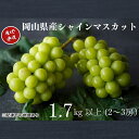 【ふるさと納税】厳選 シャインマスカット 2〜3房 合計1.7kg以上 産地直送 朝採れ ぶどう 葡萄 Kawahara Green Farm 岡山県産 202...