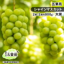 【ふるさと納税】ぶどう 2025年 先行予約 シャインマスカット 2房(1房約800g) 大房 ぶどう フルーツ 果物 贈り物 ギフト 岡山 五果苑 減農薬 甘い 美味しい 人気 種なし 皮ごと ご進物 最適 お届け:2025年9月中旬~2025年10月下旬