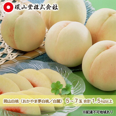 【ふるさと納税】桃 2025年 先行予約 岡山 白桃(品種:おかやま夢白桃/白麗)5~7玉 合計1.5kg以上 もも モモ 岡山県産 国産 フルーツ 果物 ギフト 環山堂 お届け:2025年7月下旬~2025年8月上旬