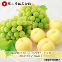 【ふるさと納税】桃 ぶどう 2026年 先行予約 岡山 白桃 5玉とシャイン マスカット 2房 詰合せ 合計2.7kg以上 もも 葡萄 岡山県産 国産 フルーツ 果物 ギフト 環山堂 お届け:2026年7月中旬~2026年8月上旬