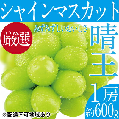 名称シャインマスカット 晴王内容量シャインマスカット 晴王 1房 約600g 岡山県内産（5条8号ハ） ※お届け日、時間の指定は申し訳ないですが、お受けできません。記載しています発送期間内で順次配送させていただきます。 ※ぶどうは大変傷みや...