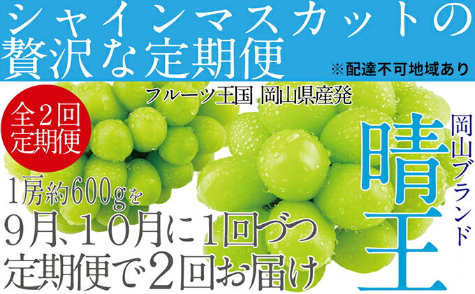 【ふるさと納税】ぶどう 2024年 先行予約 9月・10月発送 シャイン マスカット 晴王 1房 約600g ブドウ 葡萄 岡山県産 国産 フルーツ 果物 ギフト　【定期便・玉野市】　お届け：2024年9月中旬～2024年10月下旬