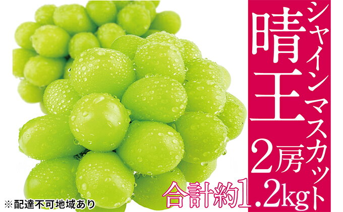 【ふるさと納税】ぶどう 2025年 先行予約 シャイン マスカット 晴王 2房（合計約1.2kg） ブドウ 葡萄 岡山県産 国産 フルーツ 果物 ギフト 　お届け：2025年9月上旬～2025年10月下旬