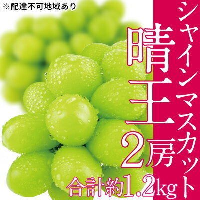 【ふるさと納税】ぶどう 2024年 先行予約 シャイン マスカット 晴王 2房（合計約1.2kg） ブドウ 葡萄 岡山県産 国産 フルーツ 果物 ギフト　【玉野市】　お届け：2024年9月中旬～2024年10月下旬