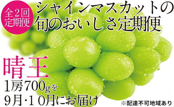 【ふるさと納税】ぶどう 2024年 先行予約 9月・10月発送 シャイン マスカット 晴王 1房 約700g ブドウ 葡萄 岡山県産 国産 フルーツ 果物 ギフト　【定期便・玉野市】　お届け：2024年9月中旬～2024年10月下旬