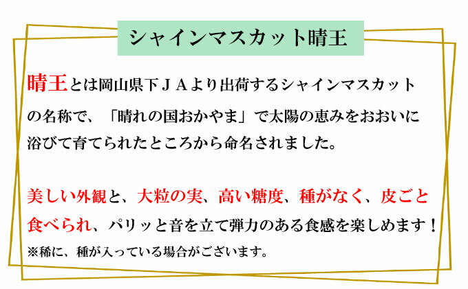 【ふるさと納税】ぶどう 2024年 先行予約 シャイン マスカット 晴王 約500g×2房 種無し ブドウ 葡萄 岡山県産 国産 フルーツ 果物 ギフト　【玉野市】　お届け：2024年8月下旬～2024年11月下旬 3