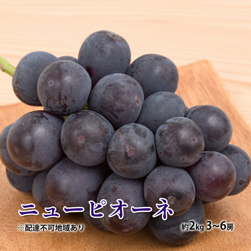 【ふるさと納税】ぶどう 2025年 先行予約 ニュー ピオーネ 約2kg 3~6房 種無し ブドウ 葡萄 岡山県産 国産 フルーツ 果物 ギフト お届け:2025年8月下旬~2025年9月下旬
