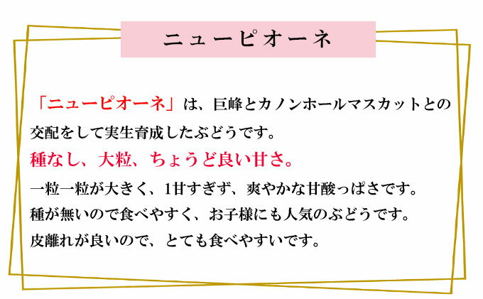 【ふるさと納税】ぶどう 2025年 先行予約 ニュー ピオーネ 約2kg 3～6房 種無し ブドウ 葡萄 岡山県産 国産 フルーツ 果物 ギフト 　お届け：2025年8月下旬～2025年9月下旬