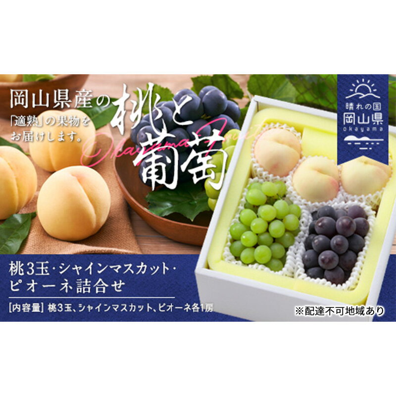 桃 ぶどう 2025年 白桃 晩生種 3玉 シャイン マスカット 1房 ニュー ピオーネ 1房 合計約1.8kg もも 葡萄 岡山県産 国産 フルーツ 果物 ギフト お届け:2025年8月下旬〜2025年9月中旬