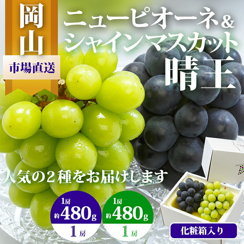 【ふるさと納税】ぶどう 2025年 先行予約 果物 詰合せ ニュー ピオーネ 1房480g以上 シャイン マスカット 晴王 1房 480g以上 化粧箱入り ブドウ 葡萄 岡山県産 国産 フルーツ 果物 ギフト お届け:2025年8月下旬~2025年10月上旬