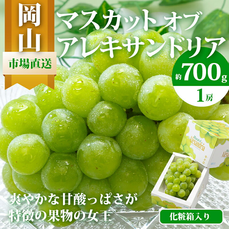 【ふるさと納税】ぶどう 2025年 先行予約 マスカット・オブ・アレキサンドリア 1房 700g以上 化粧箱入り マスカット ブドウ 葡萄 岡山県産 国産 フルーツ 果物 ギフト お届け:2025年7月中旬~2025年7月下旬