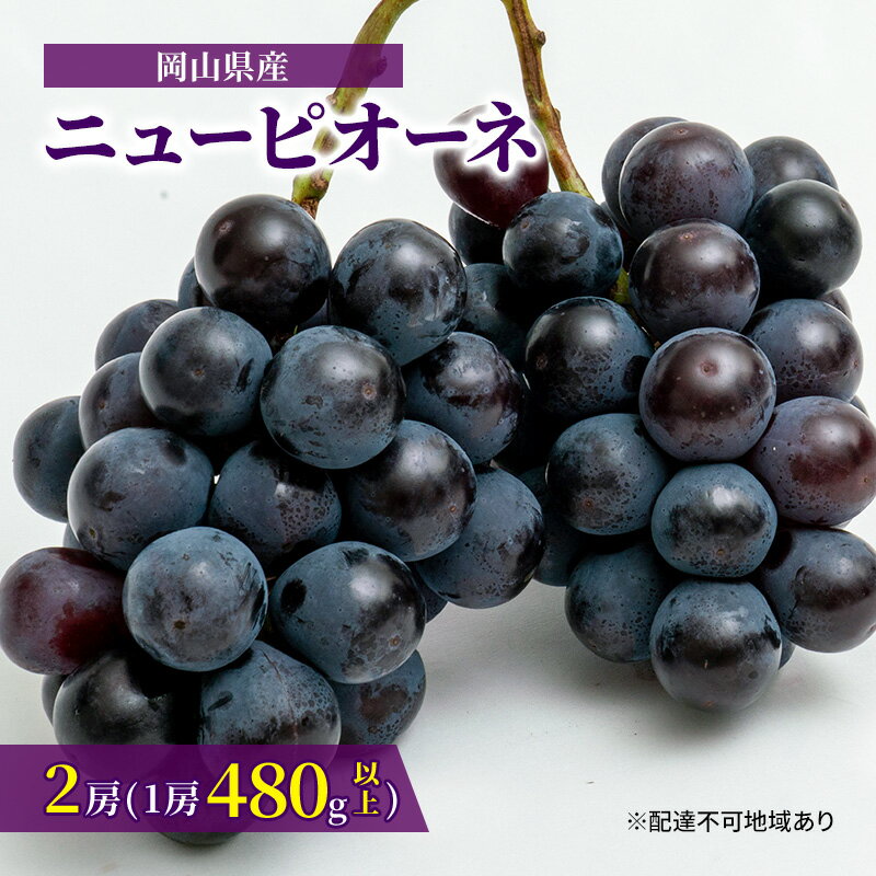 【ふるさと納税】ぶどう 2024年 先行予約 ニュー ピオーネ 2房（1房480g以上）約1kg 化粧箱入り ブドウ 葡萄 岡山県産 国産 フルーツ 果物 ギフト　【果物・ぶどう・フルーツ】　お届け：2024年8月下旬～2024年10月上旬