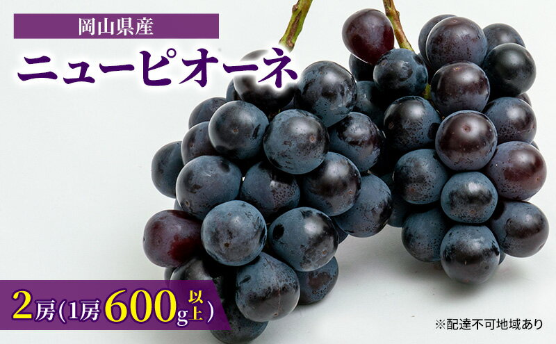 【ふるさと納税】ぶどう 2024年 先行予約 ニュー ピオーネ 2房（1房600g以上）化粧箱入り ブドウ 葡萄 岡山県産 国産 フルーツ 果物 ギフト　【果物・ぶどう・フルーツ】　お届け：2024年8月下旬～2024年10月上旬 2