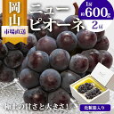 【ふるさと納税】ぶどう 2025年 先行予約 ニュー ピオーネ 2房(1房600g以上)化粧箱入り ブドウ 葡萄 岡山県産 国産 フルーツ 果物 ギフト お届け:2025年8月下旬~2025年10月上旬