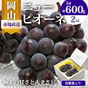 【ふるさと納税】ぶどう 2024年 先行予約 ニュー ピオーネ 2房（1房600g以上）化粧箱入り ブドウ 葡萄 岡山県産 国産 フルーツ 果物 ギフト　【果物・ぶどう・フルーツ】　お届け：2024年8月下旬～2024年10月上旬