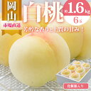 【ふるさと納税】桃 2026年 先行予約 岡山 の 白桃 6玉(合計1.6kg以上)化粧箱入り もも モモ 岡山県産 国産 フルーツ 果物 ギフト お届け:2026年7月上旬~2026年8月上旬