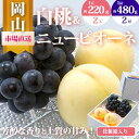 【ふるさと納税】桃 ぶどう 2025年 先行予約 果物 詰合せ 白桃 2玉(1玉220g以上)ニューピオーネ 2房(1房480g以上)化粧箱入り もも 葡萄 岡...