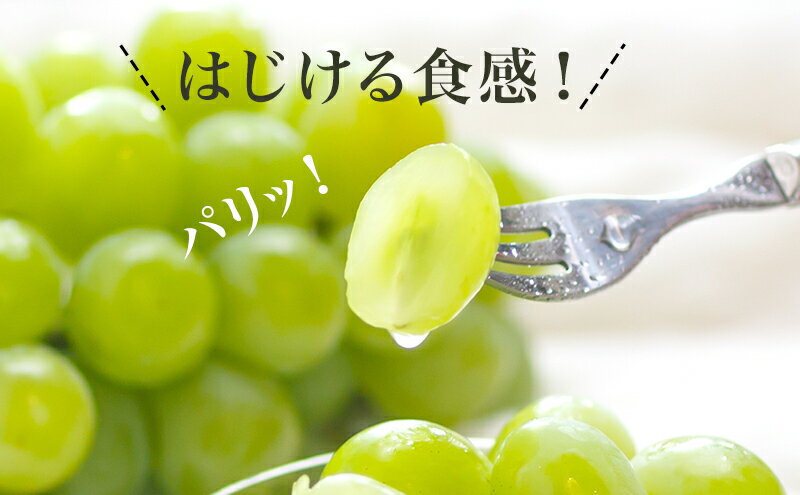 今川製菓 春果秋豆 パパイヤ 150g×1袋[1000円ポッキリ ドライフルーツ おやつ おつまみ 業務用]