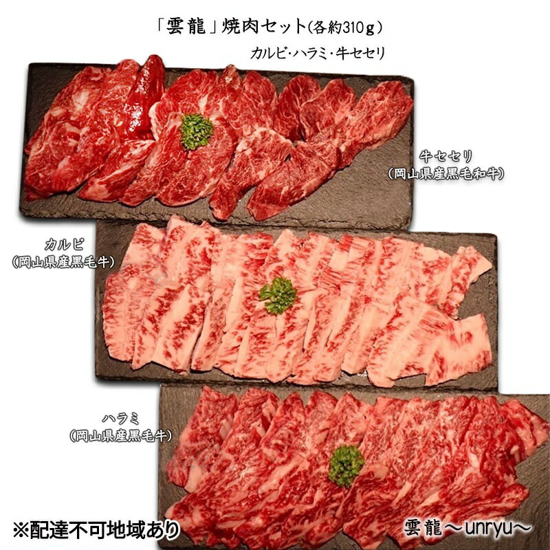 黒毛和牛 焼肉 セット 合計約930g カルビ ハラミ 牛セセリ[雲龍焼肉たれ付] 雲龍 岡山県産 肉 お肉 牛肉 和牛 [ 牛 牛カルビ 牛ハラミ セセリ せせり 焼肉セット 焼き肉 3種 岡山 玉野市 ]