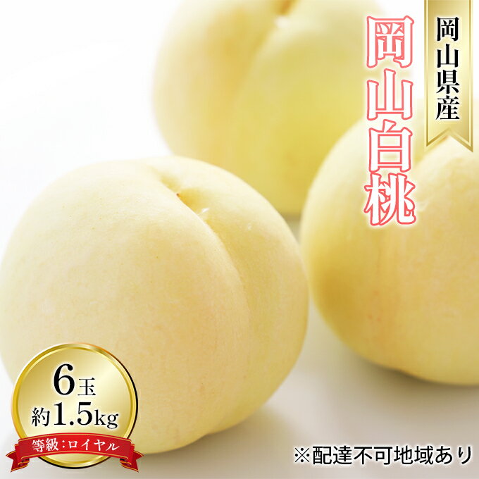 桃 2025年 先行予約 岡山 白桃 6玉 約1.5kg 等級:ロイヤル(1玉 240g以上) もも モモ 岡山県産 国産 フルーツ 果物 ギフト お届け:2025年7月上旬〜2025年8月中旬