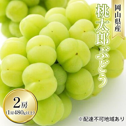 ぶどう 2024年 先行予約 桃太郎 ぶどう 2房（1房 480g以上 露地栽培）贈答用 ブドウ 葡萄 岡山県産 国産 フルーツ 果物 ギフト　【玉野市】　お届け：2024年9月上旬～2024年10月中旬