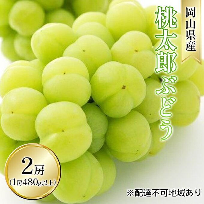 ぶどう 2024年 先行予約 桃太郎 ぶどう 2房(1房 480g以上 ハウス栽培)贈答用 ブドウ 葡萄 岡山県産 国産 フルーツ 果物 ギフト [玉野市] お届け:2024年7月上旬〜2024年8月中旬