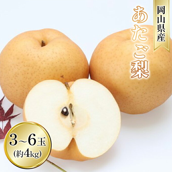 【ふるさと納税】梨 2024年 先行予約 あたご梨 約4kg 3～6玉入り なし ナシ 岡山県産 国産 フルーツ 果物 ギフト　【玉野市】　お届け：2024年11月下旬～2024年12月中旬