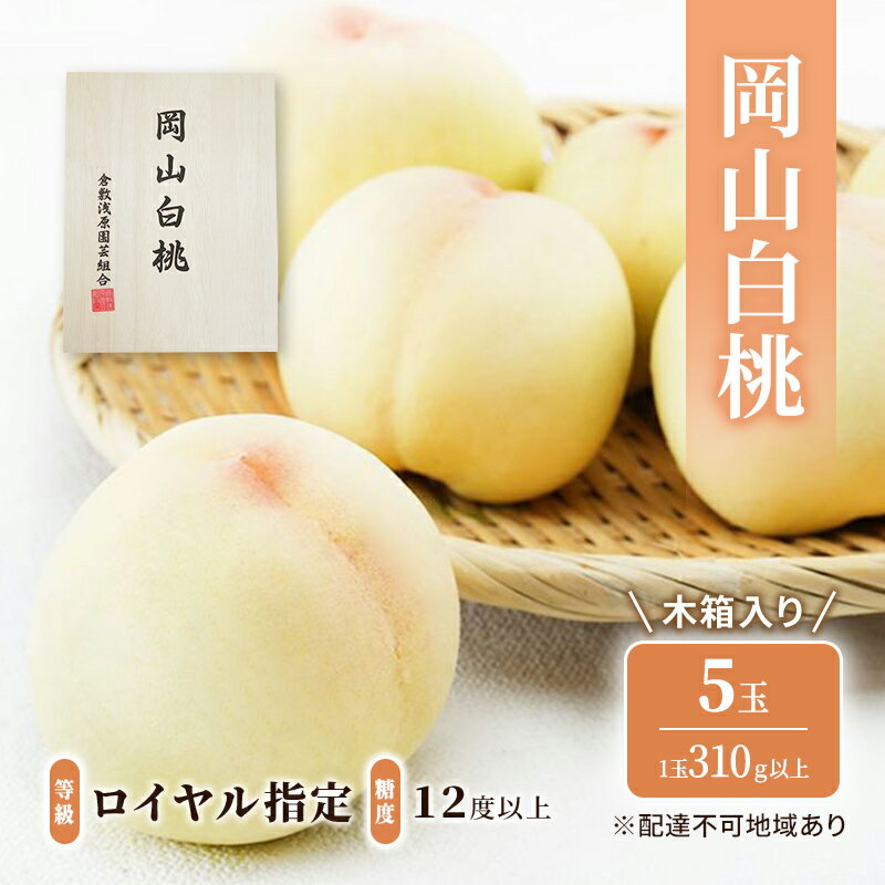桃 2025年 先行予約 岡山 白桃 5玉(1玉310g以上)等級:ロイヤル指定/糖度:12度以上 木箱入り もも モモ 岡山県産 国産 フルーツ 果物 ギフト お届け:2025年7月上旬〜2025年8月中旬