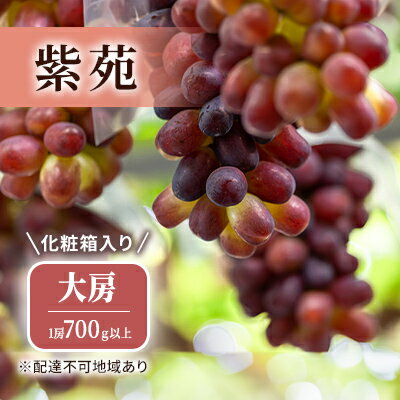 17位! 口コミ数「0件」評価「0」ぶどう 2024年 先行予約 紫苑 1房 700g以上 大房 化粧箱入り ブドウ 葡萄 岡山県産 国産 フルーツ 果物 ギフト　【玉野市】　･･･ 