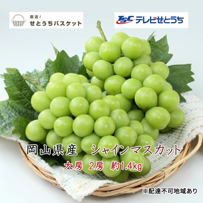 ぶどう 2026年 先行予約 シャインマスカット 大房 2房 約1.4kg ブドウ 葡萄 岡山県産 国産 フルーツ 果物 直送!せとうちバスケット お届け:2026年9月末頃〜2026年10月中旬