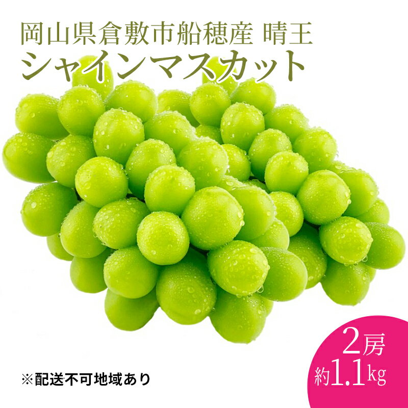 【ふるさと納税】ぶどう 2024年度分 先行予約 シャインマスカット 晴王 2房 約1.1kg 岡山県産 葡萄 ブドウ ギフト ハレノフルーツ 皮ごと食べる みずみずしい　【玉野市】　お届け：2024年9月1日～2024年10月31日