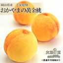 【ふるさと納税】桃 2025年 先行予約 ご家庭用 おかやま の 黄金桃 大玉 3玉(合計約900g) もも モモ 岡山県産 国産 フルーツ 果物 食品 デザート 甘い フルーティー 自宅 果肉 柔らかい 果汁 お届け:2025年8月下旬~2025年9月中旬