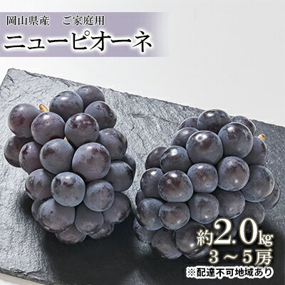 30位! 口コミ数「0件」評価「0」ぶどう 2024年 先行予約 ご家庭用 ニュー ピオーネ 約2.0kg （3～5房） ブドウ 葡萄 岡山県産 国産 フルーツ 果物　【 種無･･･ 