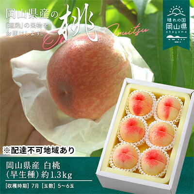 【ふるさと納税】桃 2025年 先行予約 白桃 早生種 約1.3kg 5~6玉 もも モモ 岡山県産 国産 フルーツ 果物 ギフト 食品 デザート ふぞろい 自宅 果肉 柔らかい 果汁 お届け:2025年7月上旬~2025年7月下旬