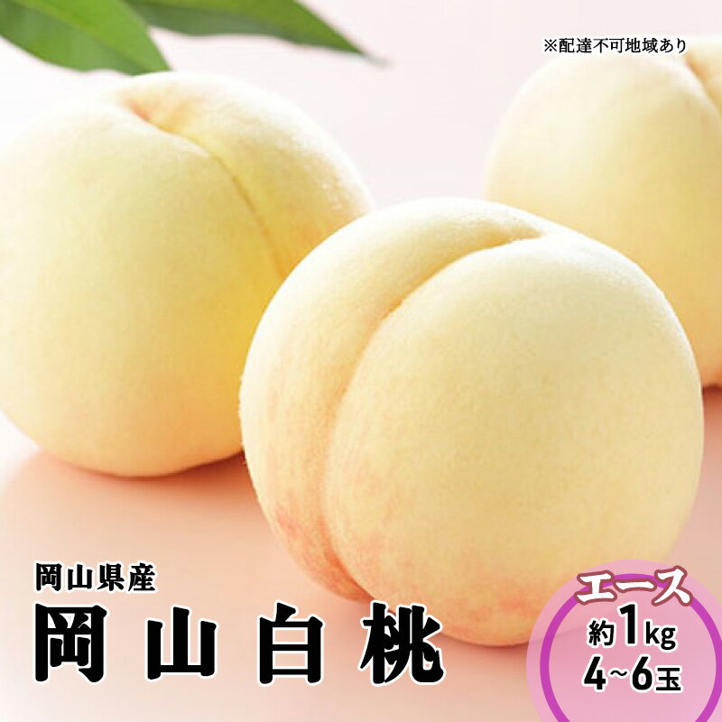 桃 2025 年先行予約 岡山 白桃 エース 4〜6玉 1kg 岡山県産 JAおかやまのもも モモ 岡山県産 国産 フルーツ 果物 ギフト お届け:2025年7月上旬〜2025年8月下旬