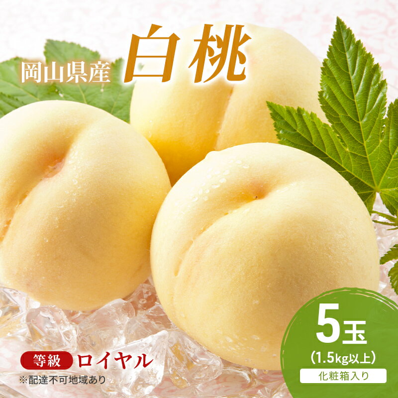 【ふるさと納税】桃 2026年 先行予約 白桃 5玉(1.5kg以上) 等級:ロイヤル 化粧箱入り もも モモ 岡山県産 国産 フルーツ 果物 セット ギフト ...
