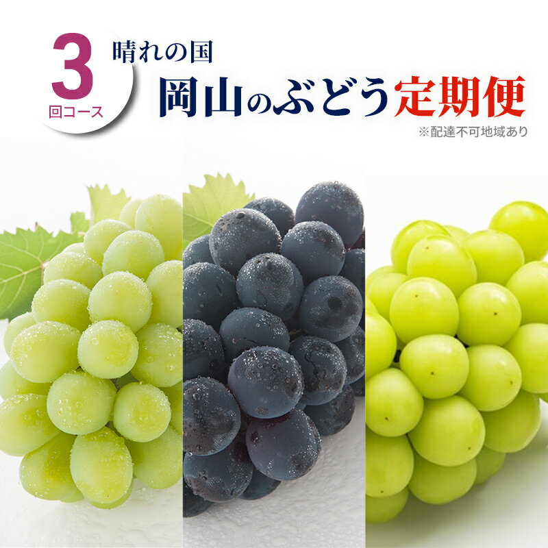 ぶどう 定期便 2024年 先行予約 晴れの国 岡山 の ぶどう定期便 3回コース 葡萄 ブドウ 岡山県産 国産 セット ギフト [定期便・ 玉野市 ] お届け:2024年7月1日〜2024年9月30日