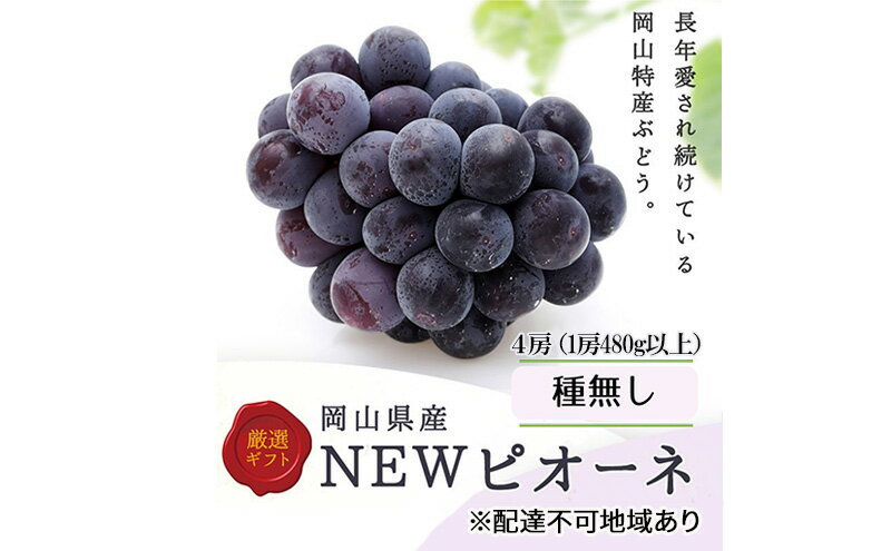 【ふるさと納税】ぶどう 2024年 先行予約 ニューピオーネ4房(1房480g以上) ブドウ 葡萄 岡山県産 国産 フルーツ 果物 ギフト　【 玉野市 】　お届け：2024年8月下旬～2024年10月上旬