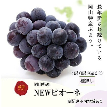 ぶどう 2024年 先行予約 ニューピオーネ4房(1房480g以上) ブドウ 葡萄 岡山県産 国産 フルーツ 果物 ギフト　【 玉野市 】　お届け：2024年8月下旬～2024年10月上旬