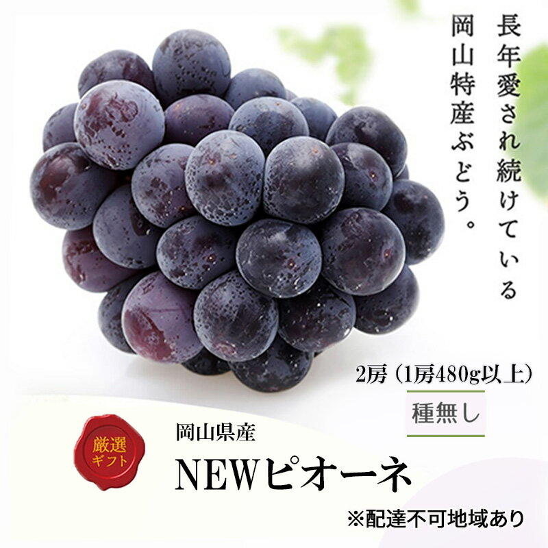【ふるさと納税】ぶどう 2026年 先行予約 ニューピオーネ2房(1房480g以上) 化粧箱入り ブドウ 葡萄 岡山県産 国産 フルーツ 果物 ギフト 　お届け：2026年8月下旬～2026年10月上旬
