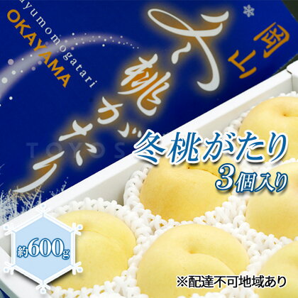 桃 2024年 先行予約 岡山県産 白桃 冬桃がたり 3個入り 約600g もも モモ 岡山県産 国産 フルーツ 果物 ギフト　【 玉野市 】　お届け：2024年11月25日～2025年1月7日