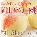 【ふるさと納税】もも 2025年 先行予約 岡山匠の白桃 約1.5kg 5〜6玉 犬塚農園 岡山県産 清水白桃 桃 モモ ギフト 初夏 みずみずしい お届け:2...