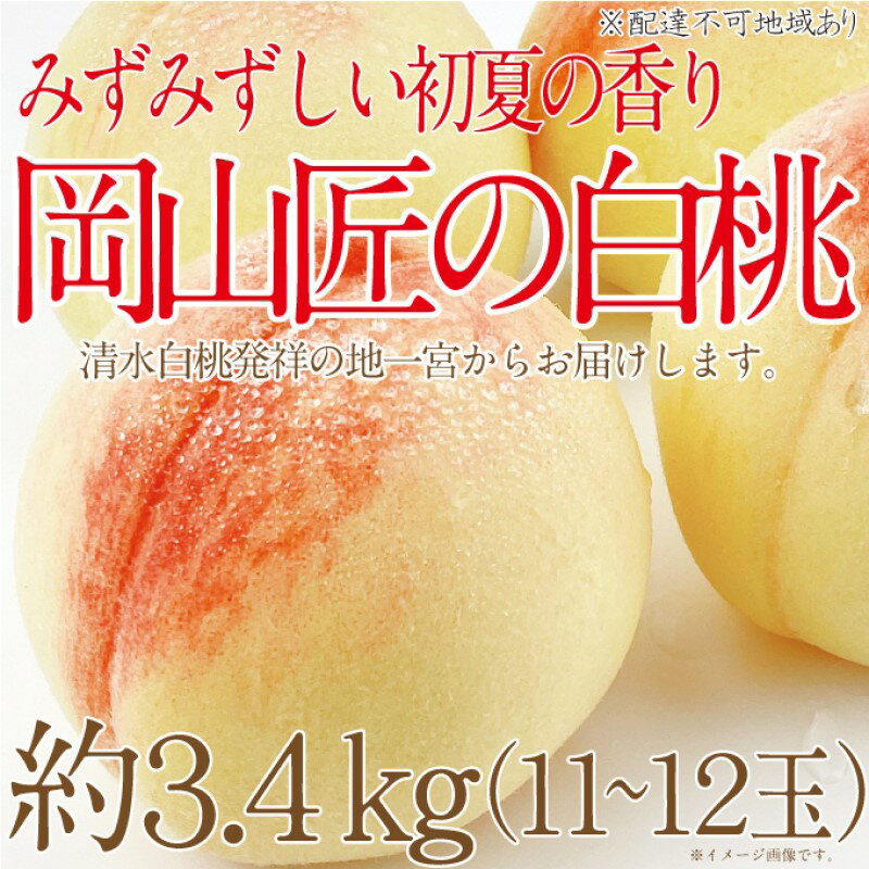 【ふるさと納税】もも 2025年 先行予約 岡山匠の白桃 約3.4kg 11~12玉 犬塚農園 岡山県産 清水白桃 桃 モモ ギフト 初夏 みずみずしい お届け:2025年6月25日~2025年7月31日