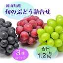 【ふるさと納税】ぶどう 2025年 先行予約 旬のぶどう詰合せ 3種4パックセット(ニューピオーネ1房約300g×1P、シャインマスカット晴王1房約300g×2...