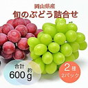 【ふるさと納税】ぶどう 2025年 先行予約 旬のぶどう詰合せ 2種2パックセット(シャインマスカット晴王1房約300g×1P、旬のぶどうお任せ1房約300g×...