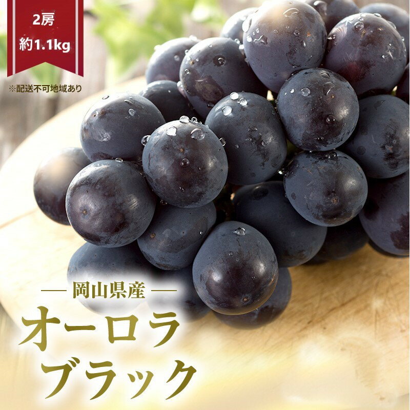 【ふるさと納税】ぶどう 2025年 先行予約 オーロラブラック 2房 (約1.1kg) 化粧箱入り お届け:2025年8月下旬~2025年9月下旬